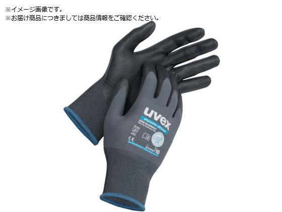 UVEX tBm~bN I[Eh XL 6004970