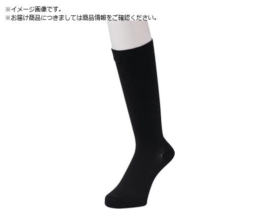 okamoto CTv ܂