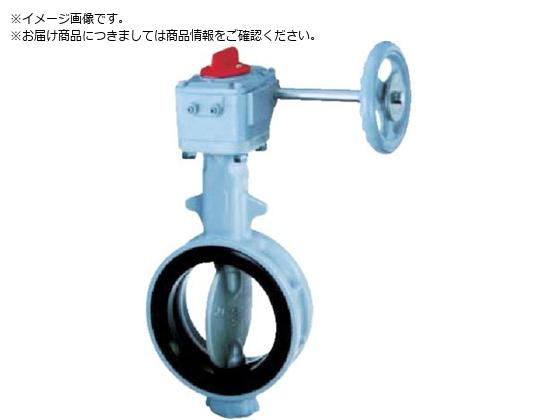 b 700G-2U JIS10K FCD450 SCS14 NBR 65A700G-2U-65-S-N