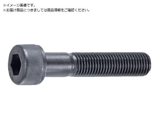 TRUSCO Zpt{g  ז lW M10~50 P1.25 10{ Lbv{g CAP B150-1050P1.25