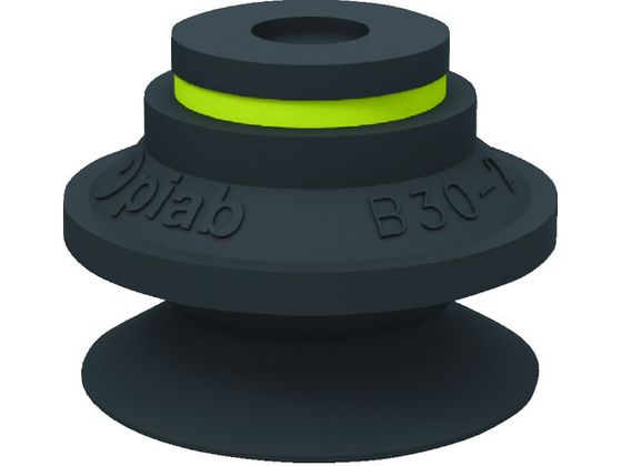 sAu TNVJbv B30-2.10 01 01 103 B30-2.10