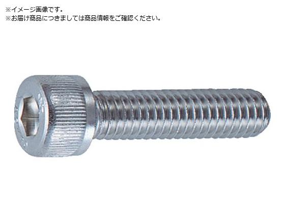 TRUSCO Zpt{g XeX SlW M2.5~4 24{ Lbv{g CAP B44-2504
