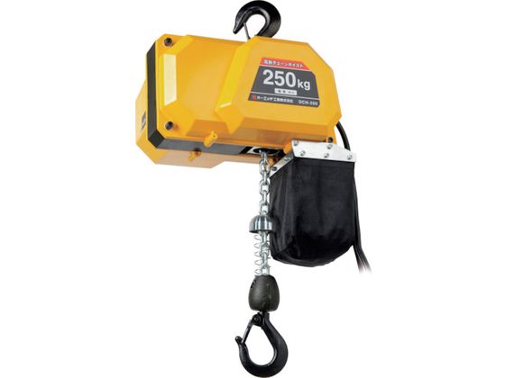 ●定格荷重（ｔ）：０．２５●標準揚程（ｍ）：６●巻上速度（ｍ／ｍｉｎ）：３●巻上モータ容量（ｋＷ）：３６０●フック間最小距離（ｍｍ）：４００●電源（Ｖ）：１００●電源コード長さ（ｍ）：３●時間定格（ｍ