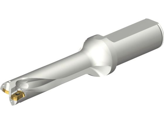 SANDVIK RhDS20nh 465 DS20-D1900L25-04 465