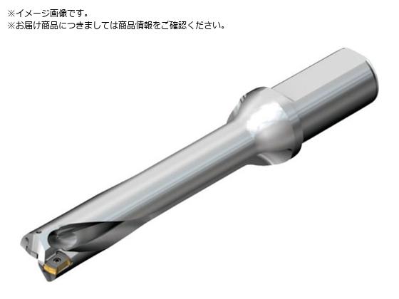 SANDVIK コロドリルDS20刃先交換式ドリル 465 DS20-D3000L32-05 SANDVIK コロドリルDS20刃先交換式ドリル 465 DS20-D3000L32-05
