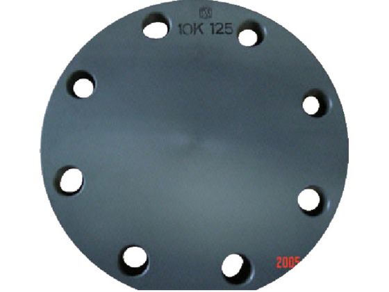 GX tWSB^ 125 JIS10K PVC FSB1Q