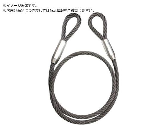 ●安全使用荷重２本垂直吊り（ｔ）：２．６●全長（ｍ）：５●スリング径（ｍｍ）：１２●タイプ：両端圧縮止め●アイ部幅（ｍｍ）：１２０●最大使用荷重（ｔ）：１．３●アイ部長さ（ｍｍ）：２４０●２本垂直：２