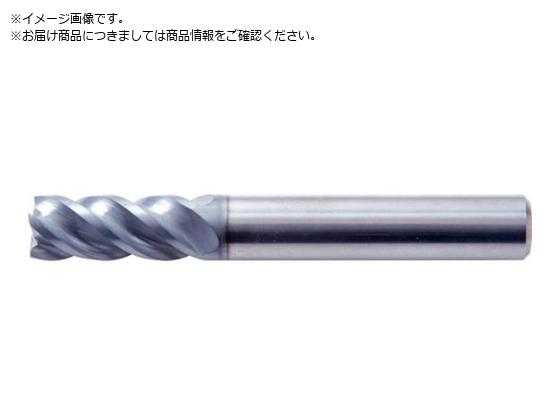 S&K HGR[eBOdXNGAGh~ FLXV[gn HGFLXS9