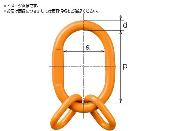●基本使用荷重（ｔ）：２．８／３．８●チェーン線径（ｍｍ）：６／７●適合チェーン線径（ｍｍ）：６／７●タイプ：サブリンク付ＨＭＦ●サブリンク寸法（ｍｍ）ｐ１：６０●サブリンク寸法（ｍｍ）ａ１：３８●サ