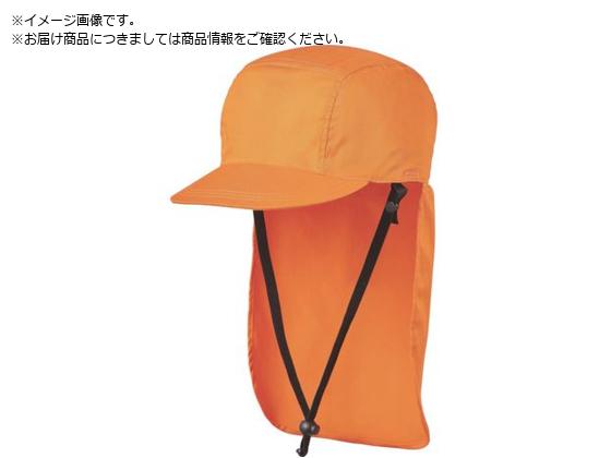 DIC IZANO CAP2 h^Cv SMTCY IWIZANO CAP2