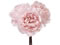  JsIj[oh #2 PINK FM003347-002