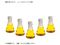 TSNa/滅菌三角フラスコ(ノーマルキャップ/平底)1000mL/4112-1000