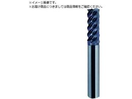 EH[^[~Y WM\HXNGAGh~ 4~11~51mm AlTiN WHS645A061650