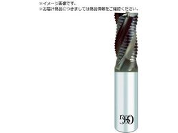 OSG WXLR[g tBO V[g 4n 10 n22mm 8408610 WH-REES-10 8408610