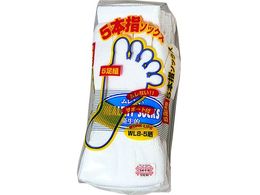 ӂ 5{w\bNX WL8-5 5\NO~ TV