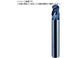 EH[^[~Y WMs{[Gh~ 1~20x54mm AlTiN WSB440A051054