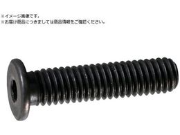 TRUSCO ���ᓪ�L���b�v�{���g �X�`�[�������� M4�~6 11�{�� �Z�p���t�{���g CAP Y153-0406