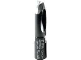 FESTOOL h~mJb^[ HW D10 NL28 DF500p 493493 00 215693