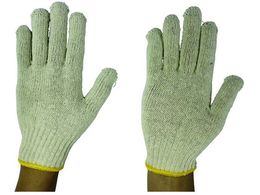 ӂ  100 { gN{[ȐF 100