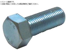 DAIDOHANT HP �זڃ{���g 10X25 �s�b�`1.25 2�{�� 10185782