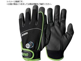 GranberG h 107.4297W L 107.4297W09