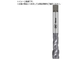 DC SWISS �X�p�C�����^�b�v N460-3 UNF J 1 2-20 155322