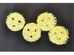 KOKUBO �ђʂ�ܐ� ���ʑ�̔r�����p 4�� 1749