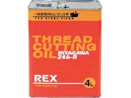 REX ʔzǗpIC 246-R 4L 181613