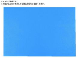 SCS ÓdCgUo[}bg  1M X 2M 1891 1X2