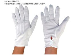 ۘaP~J iCWׂ zbNt LTCY 342-L