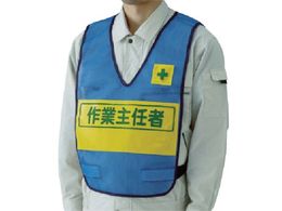 jbg ˕\txXg  ƎC iCbV 379-699