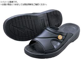 AS AYsAESDXbp  LL 4-1204-01