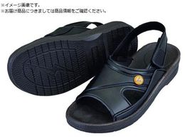 AS AYsAESDT_  S 4-1206-04