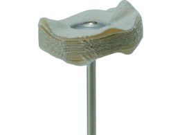 iJjV \tgȃot 10{ 25~5~2.34 53745