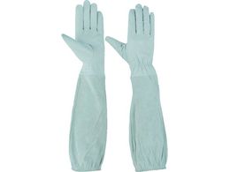 HO-KEN I܂Œ`v M 55698