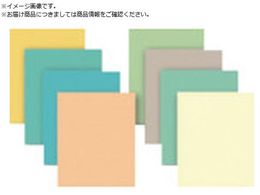 �i�J�j�V ���b�s���O�t�B�����V�[�g 5���� 230�~280 #600 56963