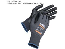 UVEX jgw AXeBbN I[Eh S 6002867