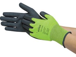 UVEX C500 �t�H�[�� S 6049467