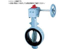 �b 700G-2U JIS10K FCD450 SCS14 NBR 50A700G-2U-50-S-N