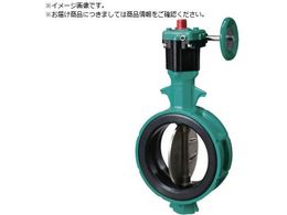 �b 700Z-2F JIS10K ADC12 SCS13 EPDM 150A700Z-2F-150-S13-E