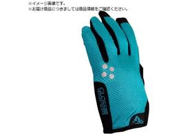 TryAnt lHv 716 3D GLOSS PU ^[RCYu[