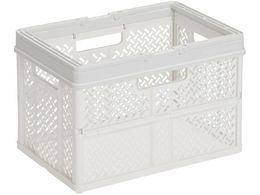 TENMA ܂肽݃oXPbg nhtM 811000813