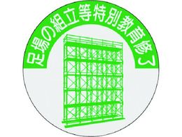 ���� ���i�\���X�e�b�J�[ ����̑g�������ʋ���C��816-T