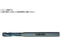 ���}�� �A���~�����������H�p�X�p�C�����^�b�v ACHSP P4 M8X1.25ACHSP-P4-M8X1.25