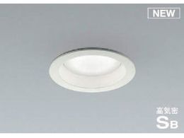 RCY~ ZEXܗpƖ 񒲌 F pGXv^LEDt SB_ECg 100W AD1161W50