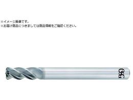 OSG dhU^Gh~ AE-VMS V[g^ WAX 8556130AE-VMS 6XR0.3 8556130