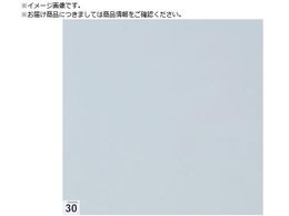 TRUSCO ܂Ƃߔ GA[V[pSV[g Ȃ 300X300 30 Sx  10V[gASSF-3030W-M10