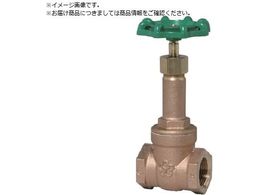 ��a�o���u �Q�[�g�o���u 25A JIS 10K�A�� B10G 25A