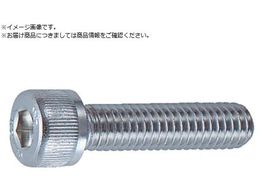 TRUSCO Zpt{g XeX SlW M2.5~4 24{ Lbv{g CAP B44-2504