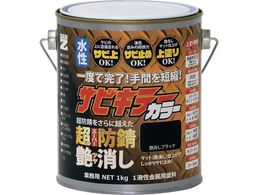 BAN[ZI hKh TrL[J[ 1kg 